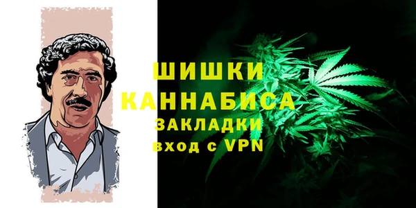бошки Богданович