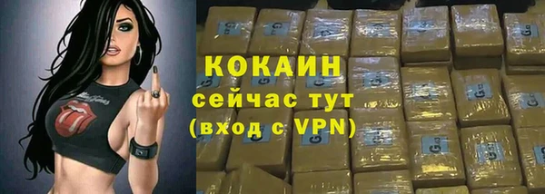 бошки Богданович