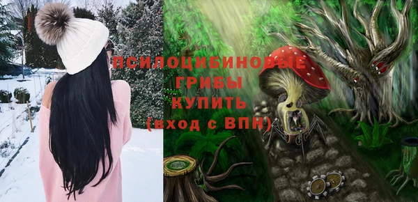 таблы Богородск