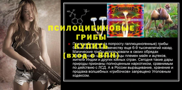 бошки Богданович