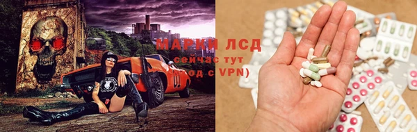 бошки Богданович