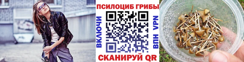 Галлюциногенные грибы Psilocybe  Купить где  Ардатов 